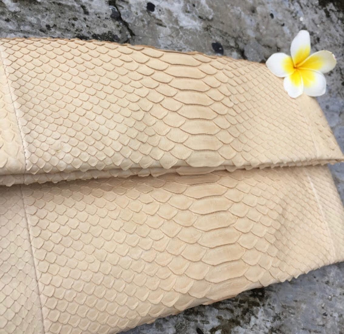 Genuine Python Skin Envelope Clutch — Cream