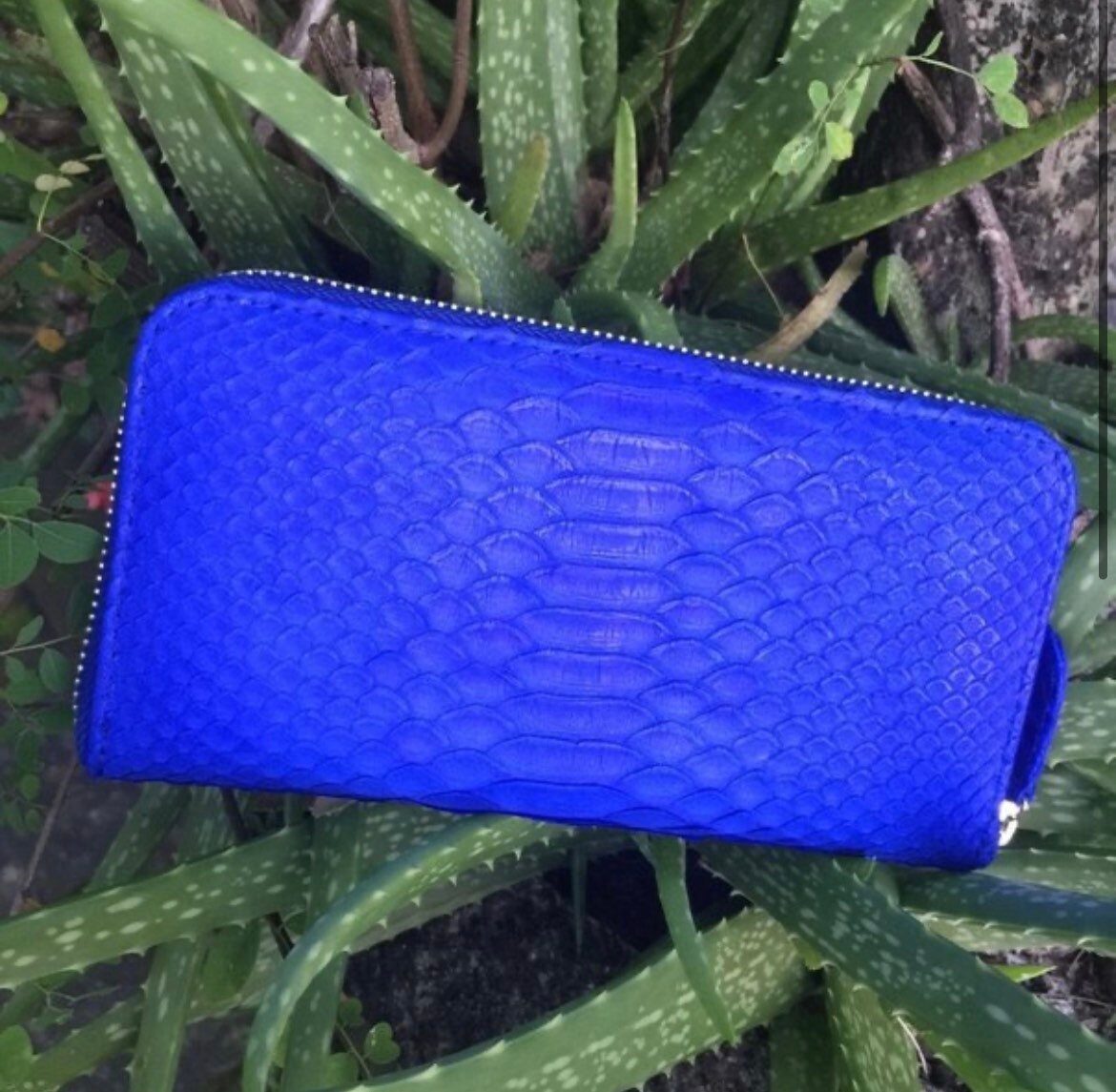 Genuine Python Skin Wallet — Electric Blue