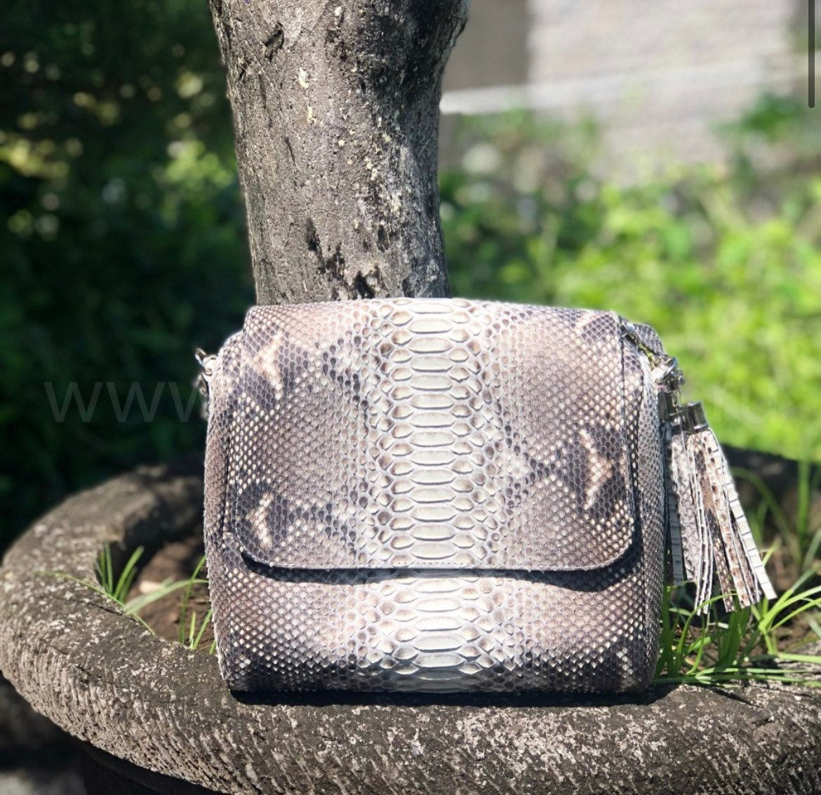 Genuine Python Skin Chain Tassel Crossbody Bag — Gray
