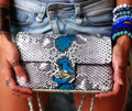 Gray and blue Genuine Python Skin Crossbody Chain Bag