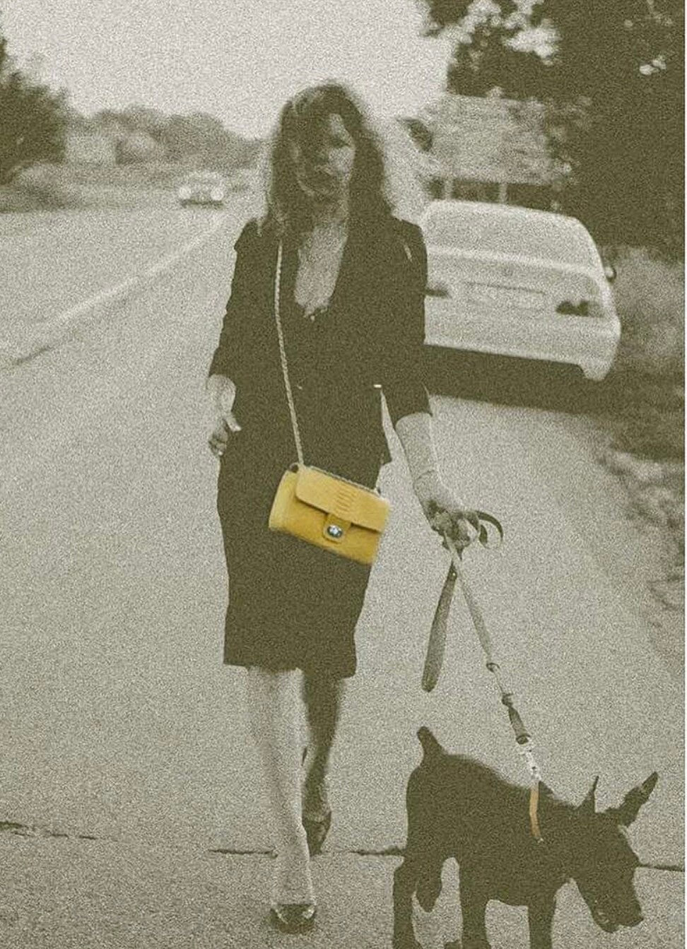 Yellow Genuine Python Skin Crossbody Chain Bag