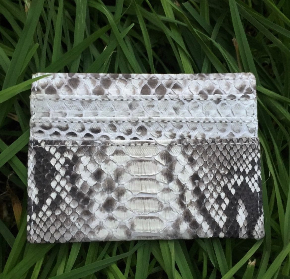 READY TO SHIP Genuine python skin creditcards holder
