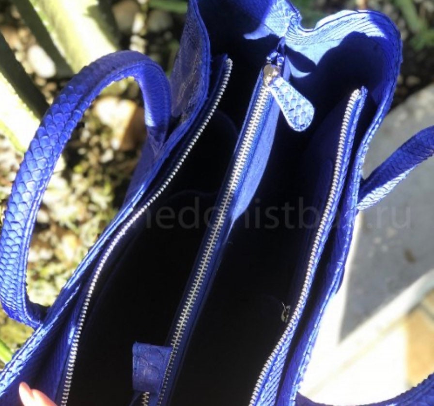 Genuine Python Skin Bag — Royal Blue