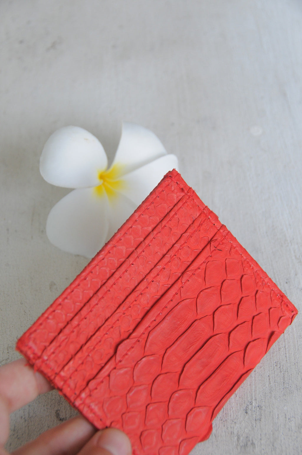 Genuine python skin creditcards holder red