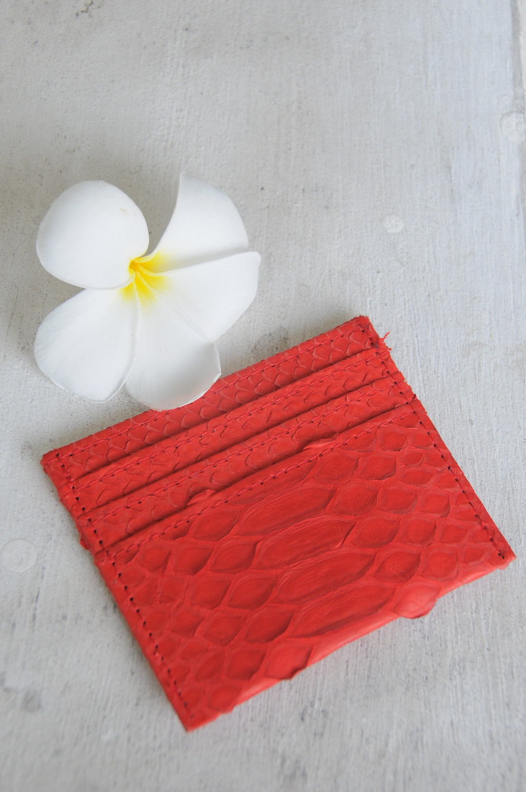 Genuine Python Skin Card Holder — Red
