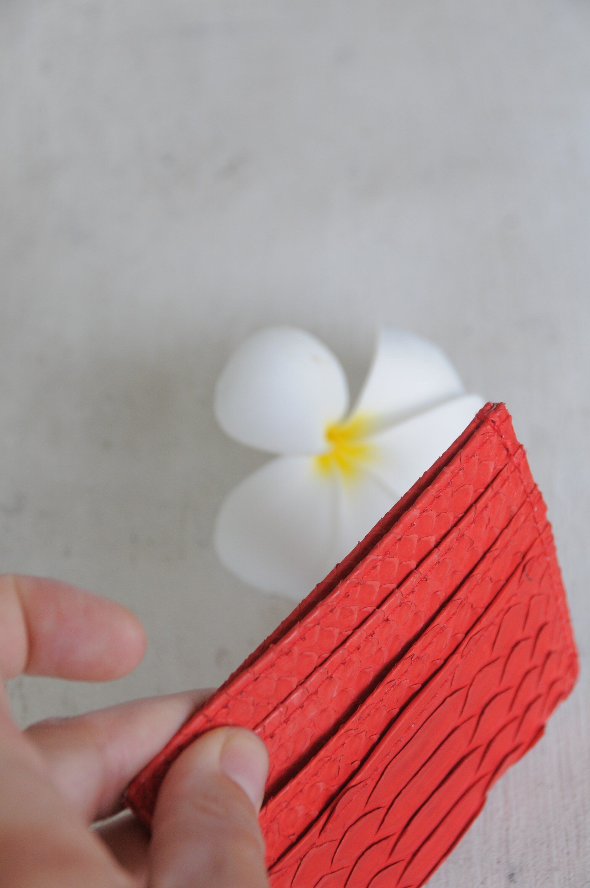 Genuine Python Skin Card Holder — Red
