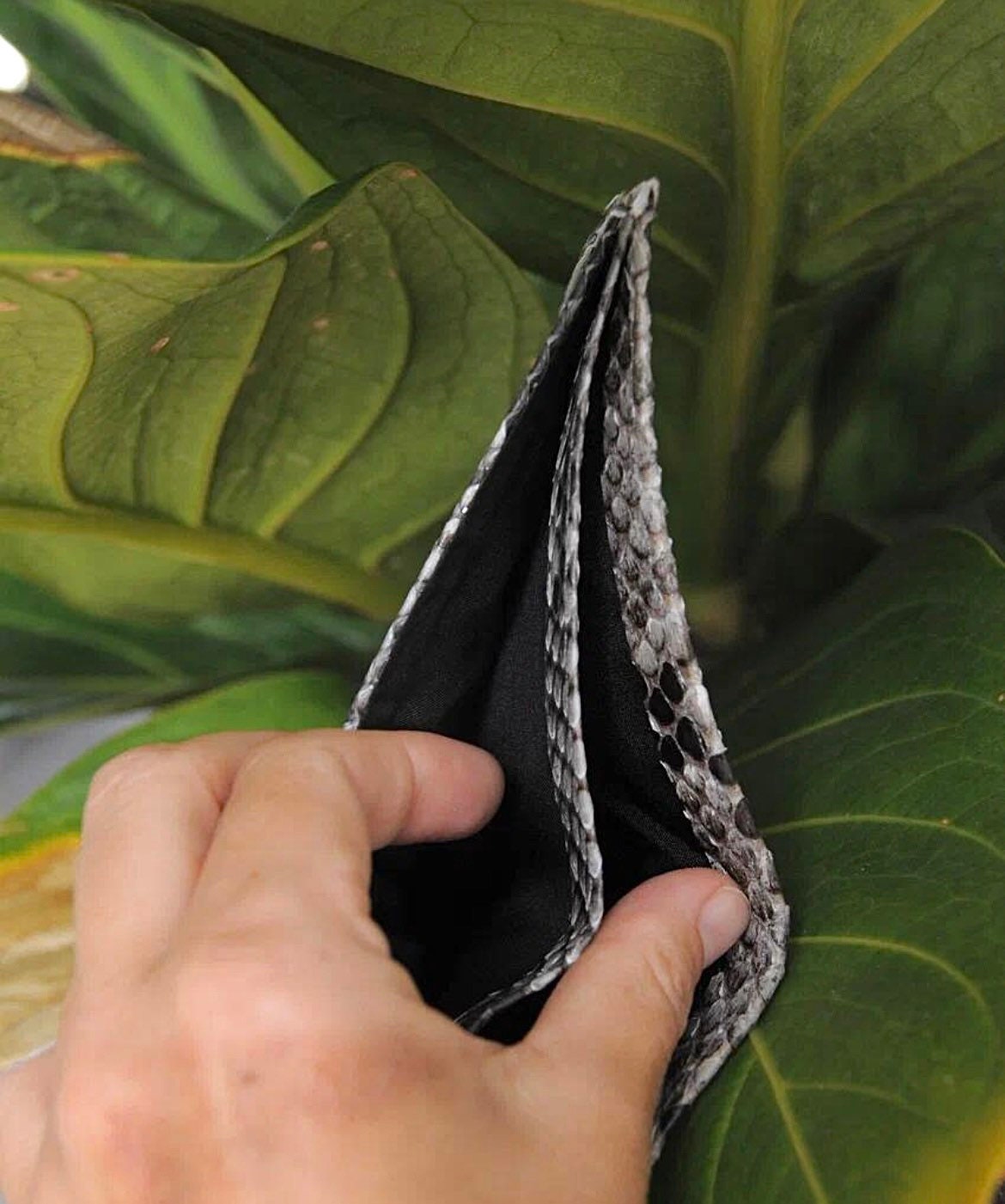 Genuine Python Skin Men Flat Wallet — Black