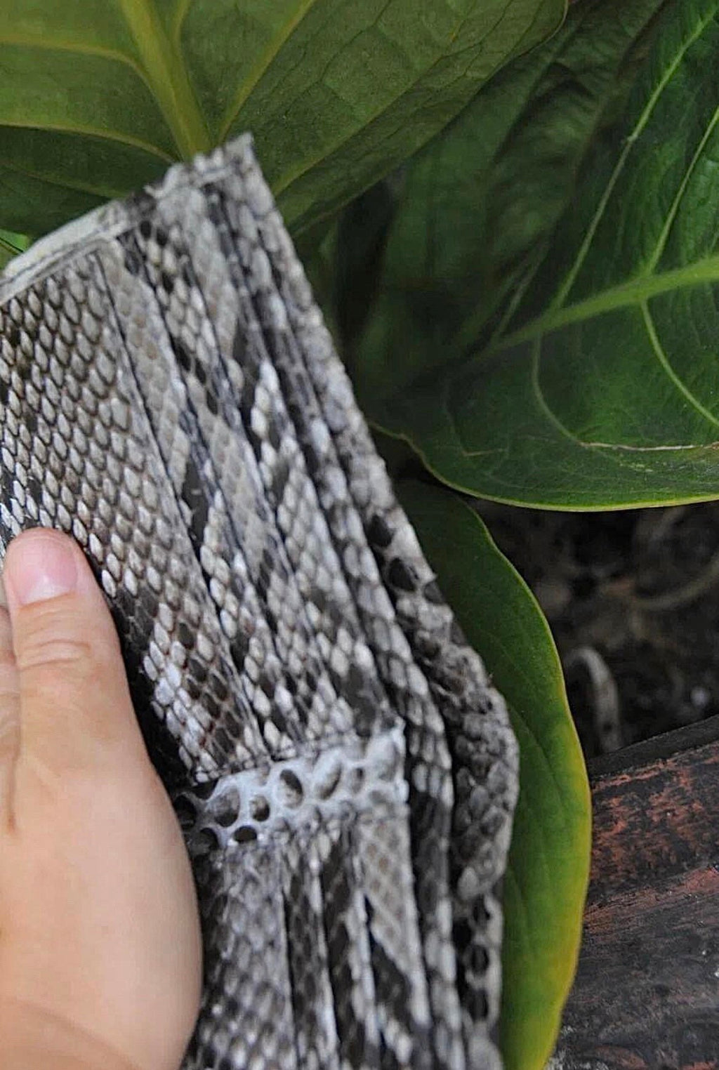 Genuine Python Skin Men's Flat Wallet — Grey