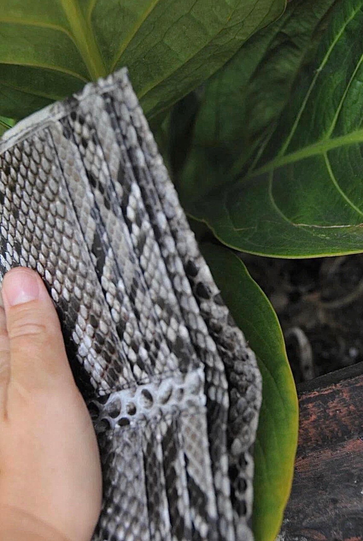 Genuine Python Skin Men's Flat Wallet — Grey