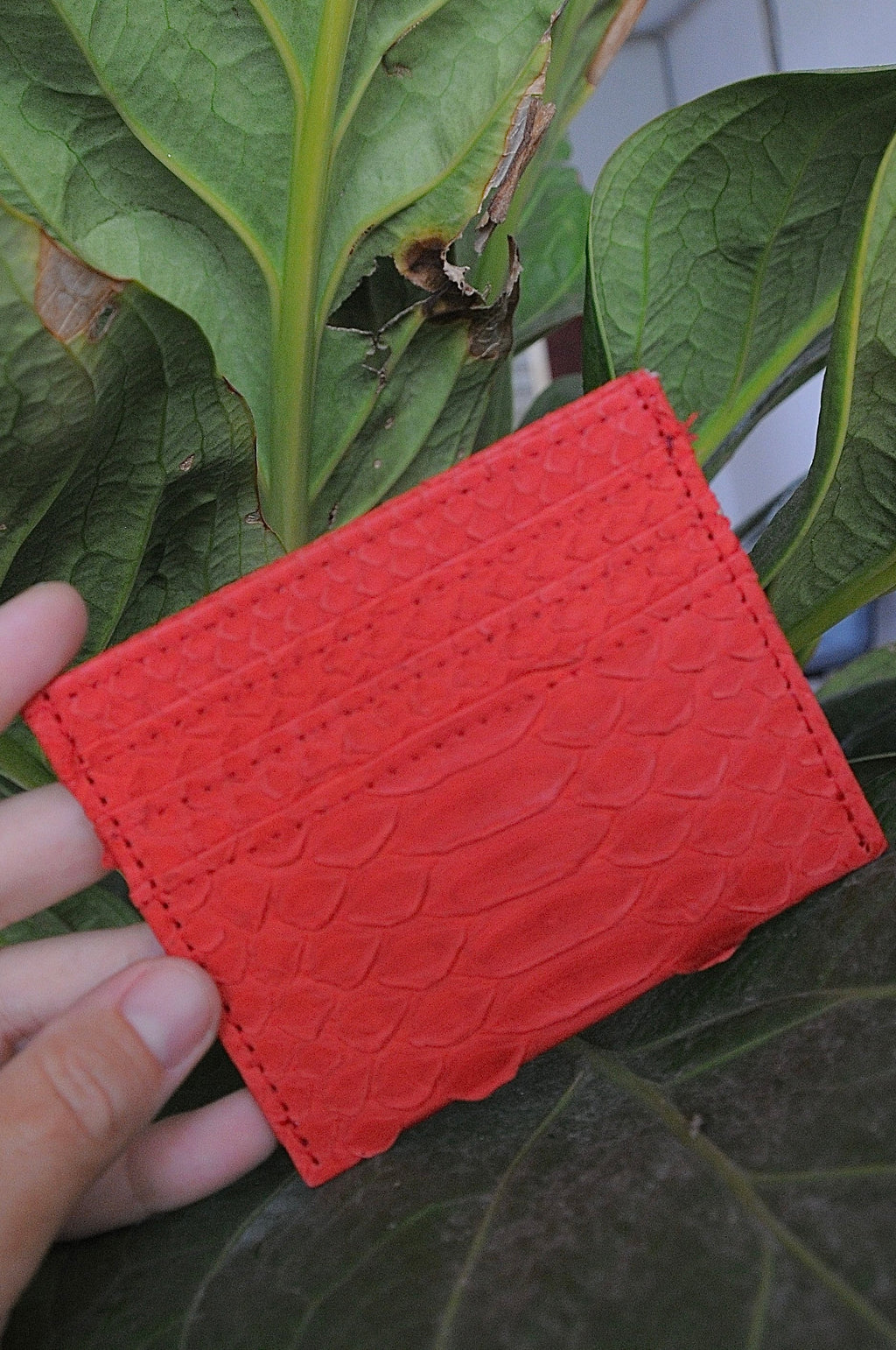 Genuine python skin creditcards holder red