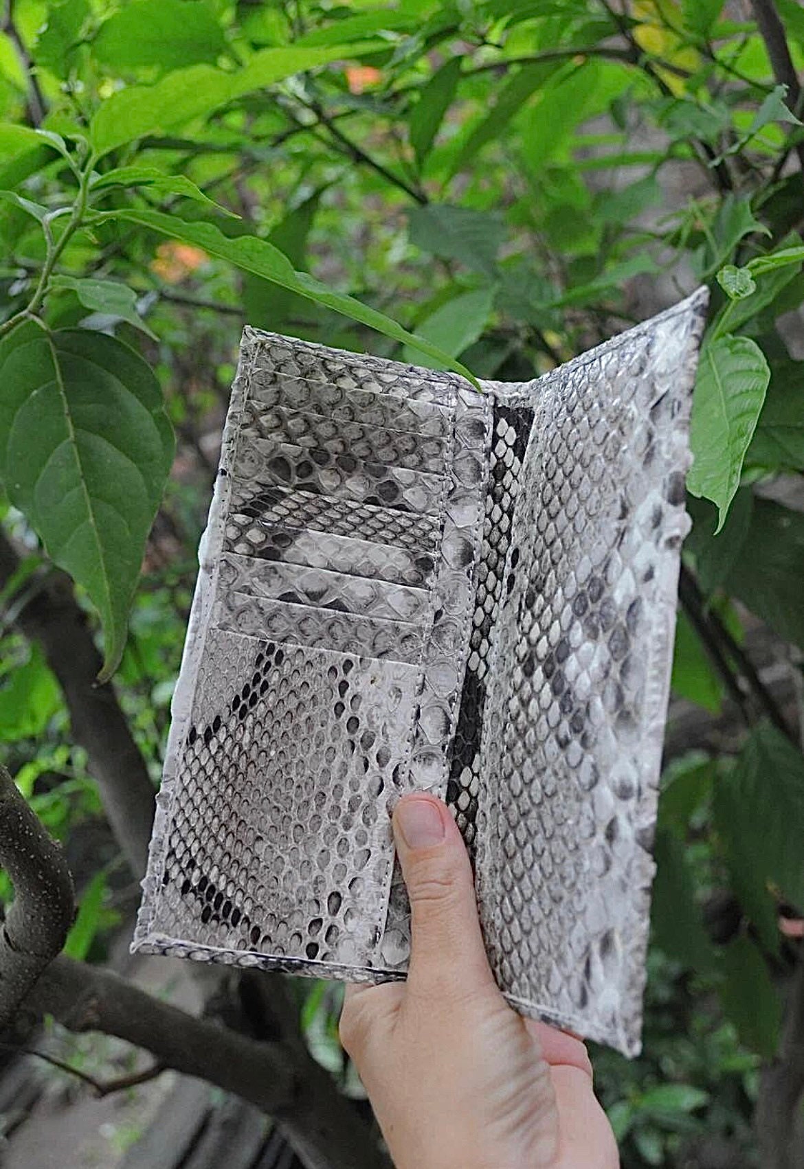 Genuine Python Skin Wallet — Gray Natural