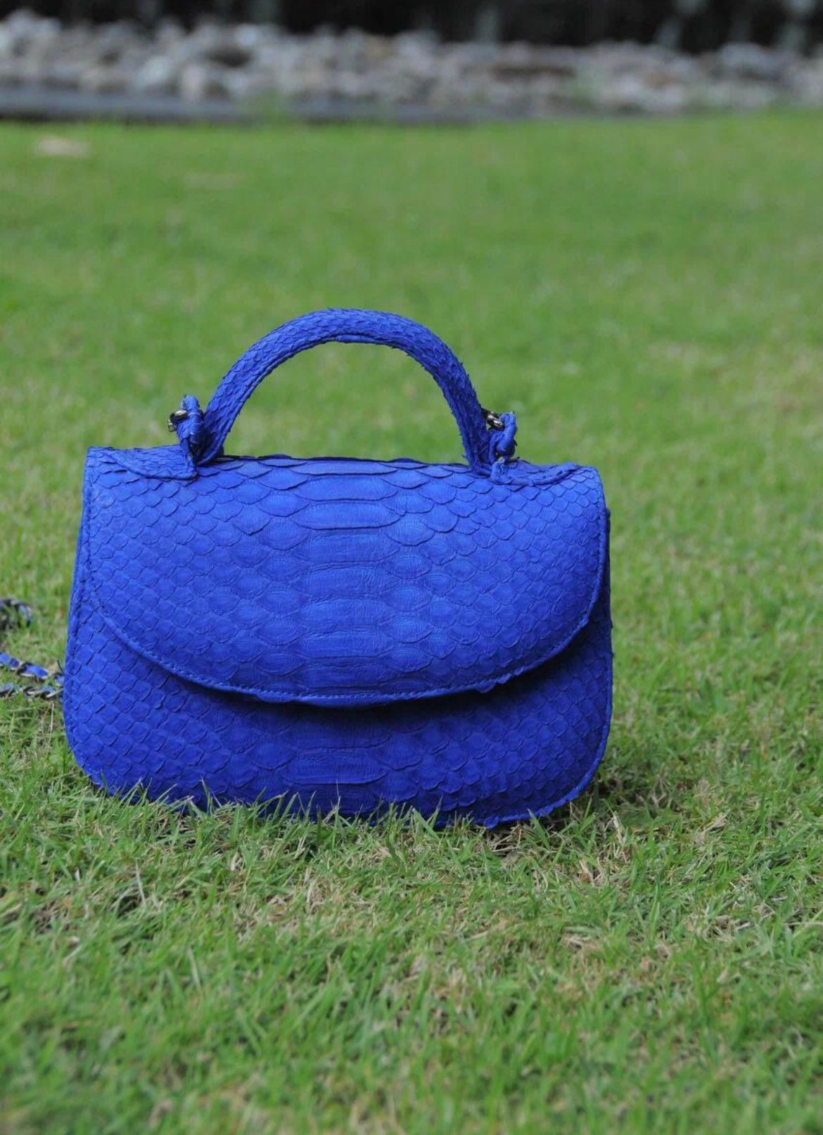 Genuine Python Skin Top Handle Crossbody Bag — Bright Blue