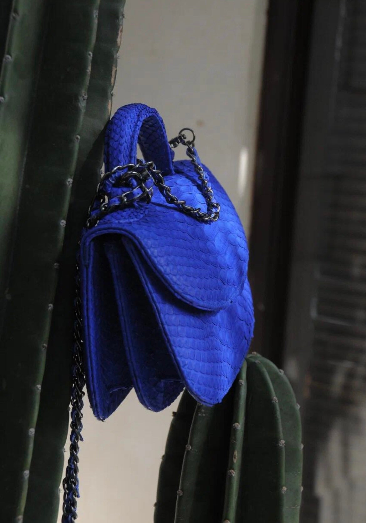 Genuine Python Skin Top Handle Bright Blue Crossbody Bag