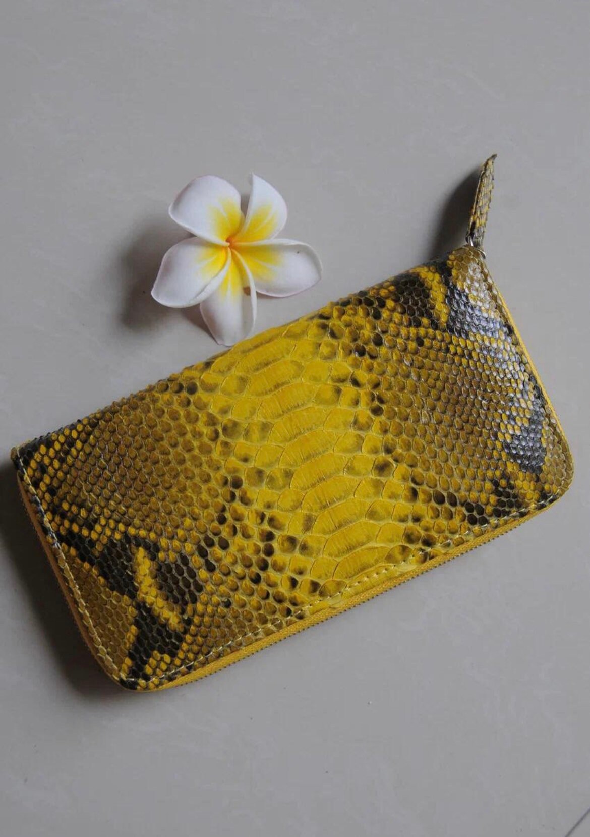 Wallet genuine python skin yellow snake color, women wallet, leather lady wallet, classic zip wallet, designer wallet handmade, money wallet — Red