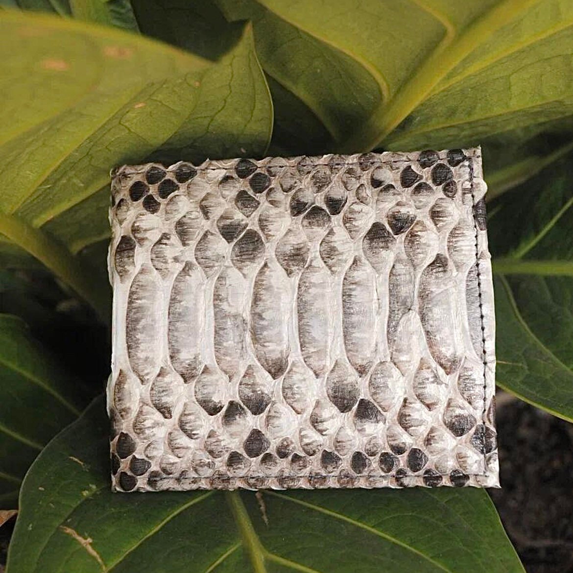Genuine Python Skin Men's Flat Wallet — Grey