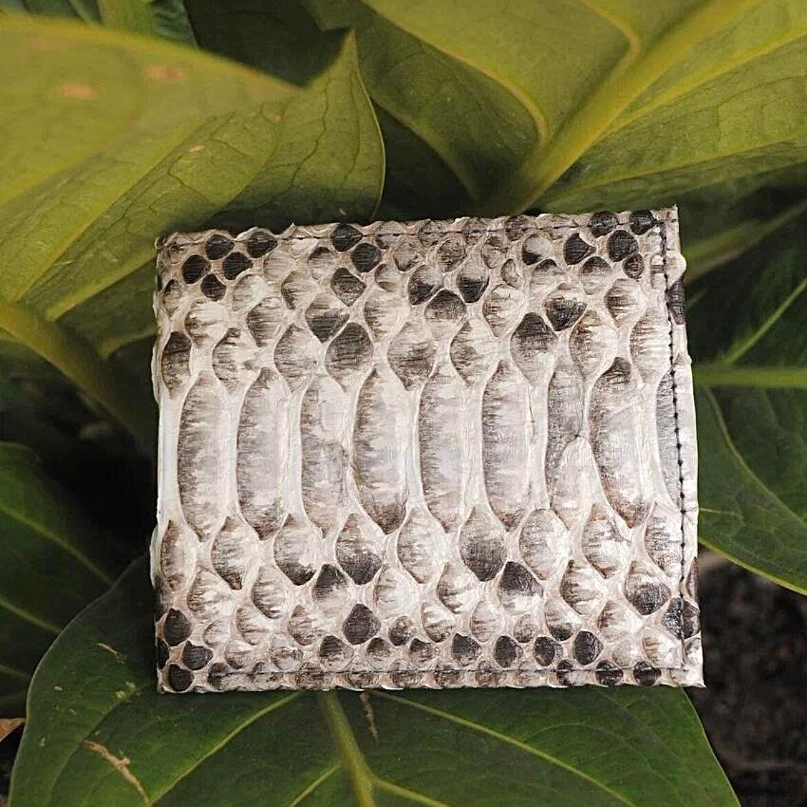 Genuine Python Skin Men Flat Wallet — Black