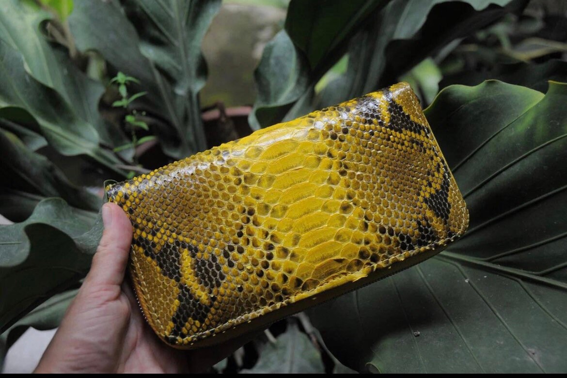Wallet genuine python skin yellow snake color, women wallet, leather lady wallet, classic zip wallet, designer wallet handmade, money wallet — Red