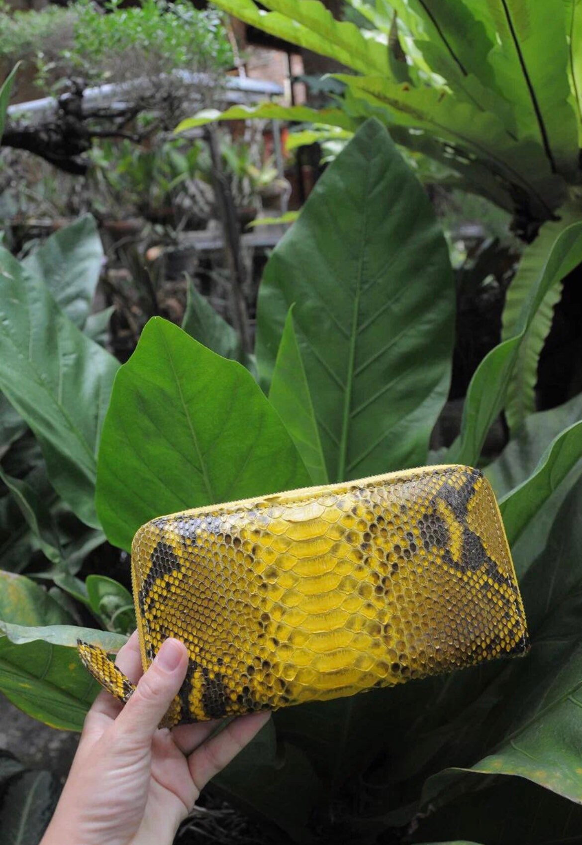 Wallet genuine python skin yellow snake color, women wallet, leather lady wallet, classic zip wallet, designer wallet handmade, money wallet — Red