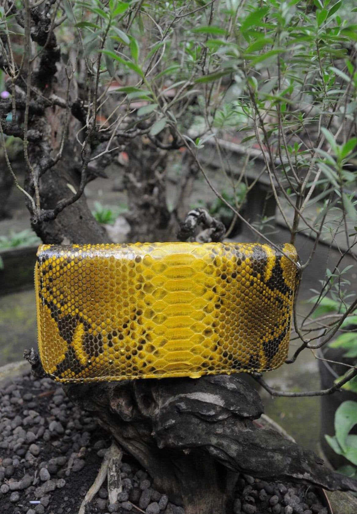 Genuine Python Skin Wallet — Yellow Snake