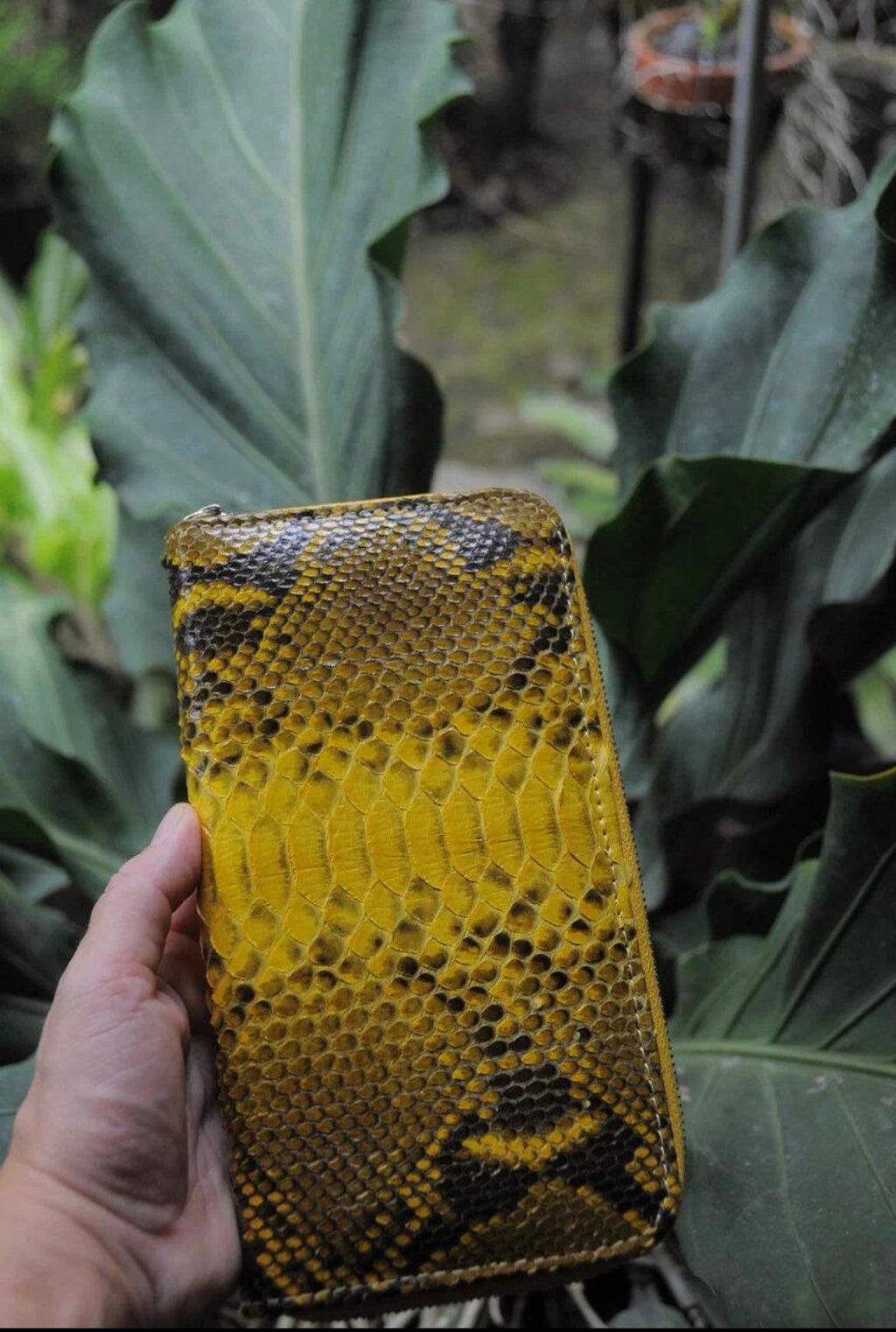 Genuine Python Skin Wallet — Yellow Snake