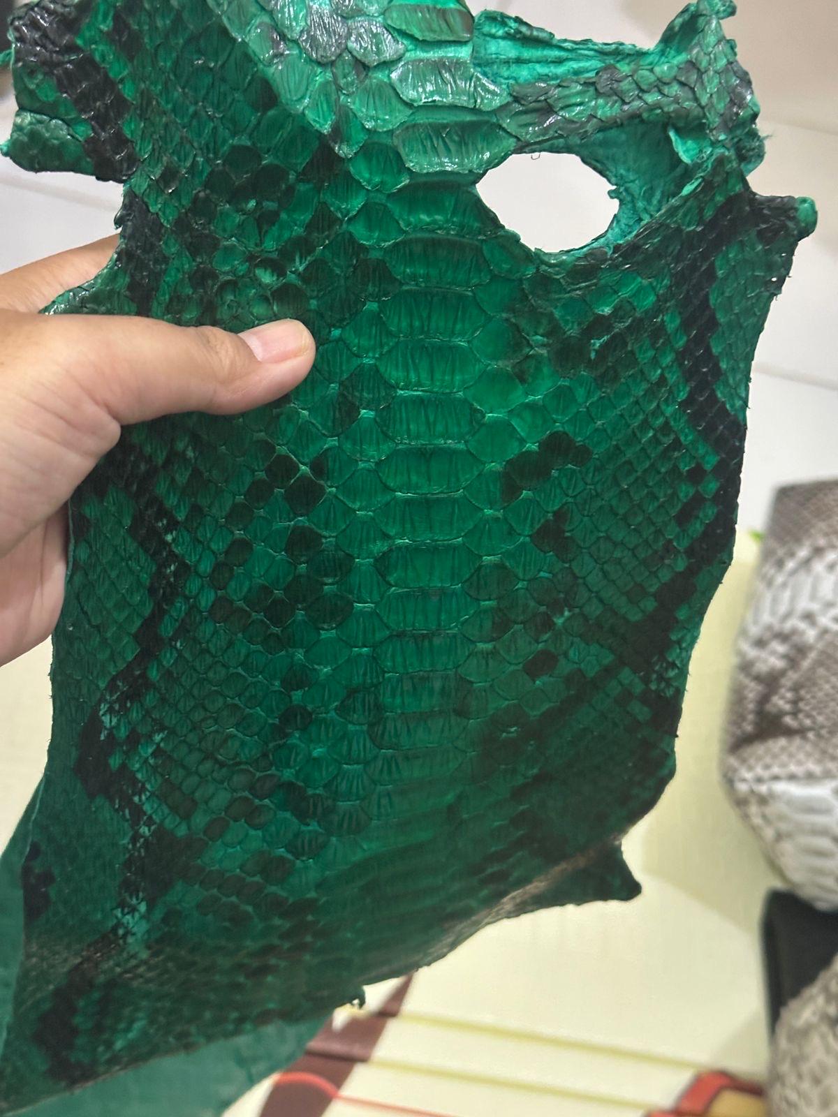 READY TO SHIP Genuine Python Skin Men Flat Wallet | Exotic Leather Money  Wallet | Gift For Him | Money Clips and Wallet | Green Portmone