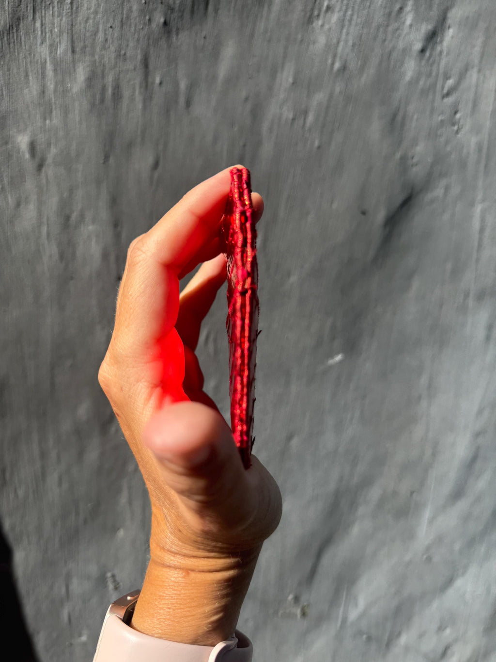 Genuine Python Skin Card Holder — Red Foil
